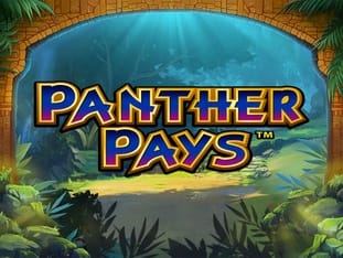 Panther Pays game thumbnail